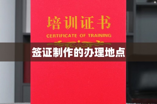 中和签证制作的办理地点