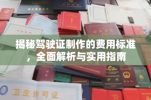 中和揭秘驾驶证制作的费用标准，全面解析与实用指南