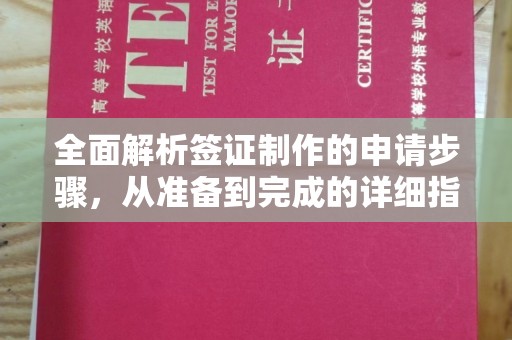 中和全面解析签证制作的申请步骤，从准备到完成的详细指南