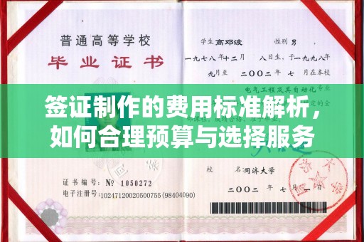 中和签证制作的费用标准解析，如何合理预算与选择服务