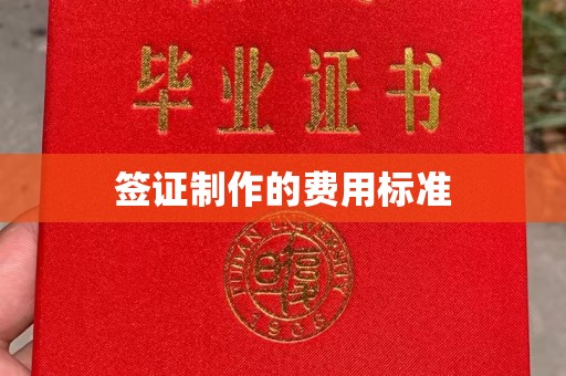 中和签证制作的费用标准