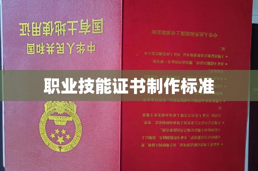 中和职业技能证书制作标准