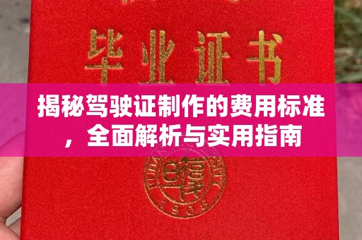 中和揭秘驾驶证制作的费用标准，全面解析与实用指南