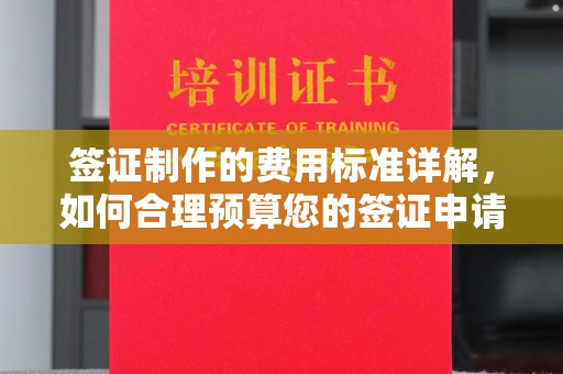 中和签证制作的费用标准详解，如何合理预算您的签证申请成本