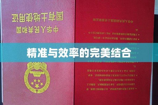 中和精准与效率的完美结合